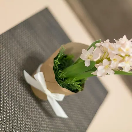 Apartment Dositejeva 13