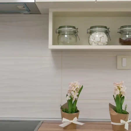 Dositejeva 13 Appartamento