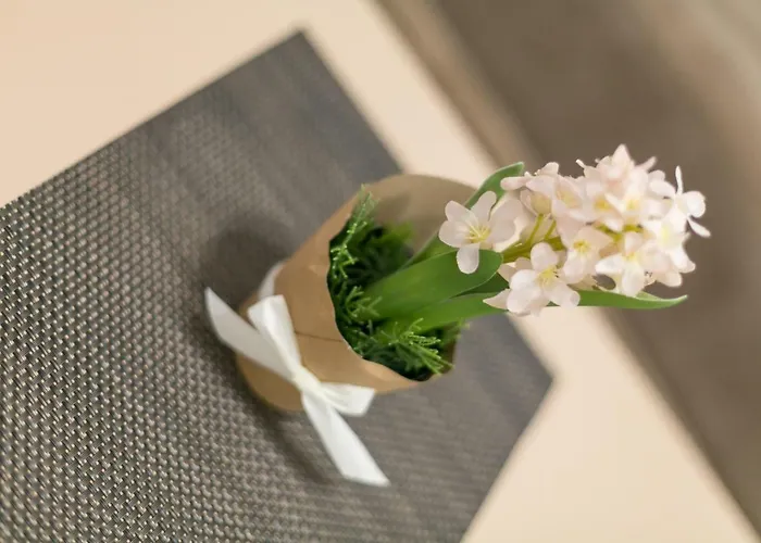 Apartmán Dositejeva 13