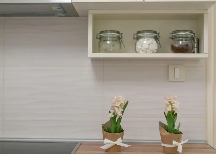 Dositejeva 13 Apartmán